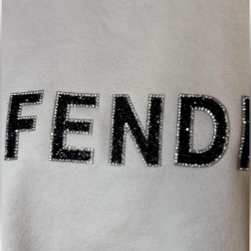 ✨Fendi ✨sweatshirt- inspo